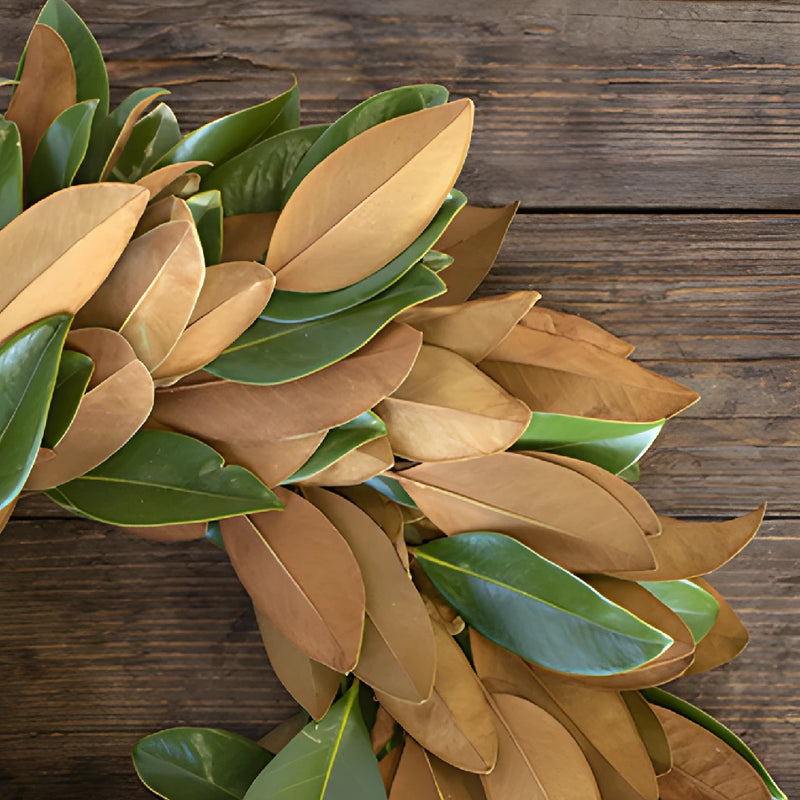Magnolia Greenery Wreaths