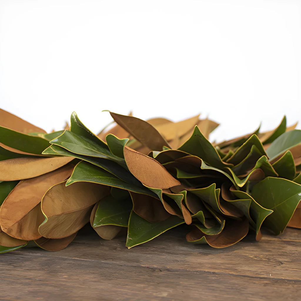 FiftyFlowers Magnolia Greenery Wreath