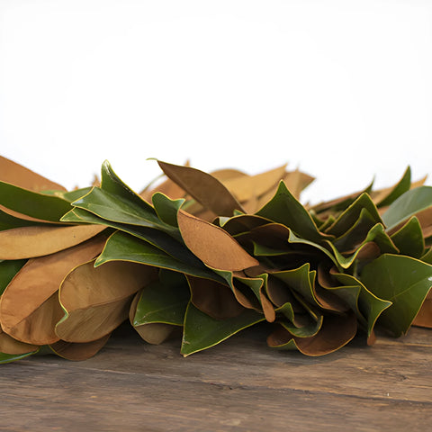Magnolia Greenery Wreaths