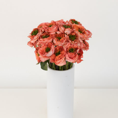 Mandarin Peach Garden Rose Vase - Image