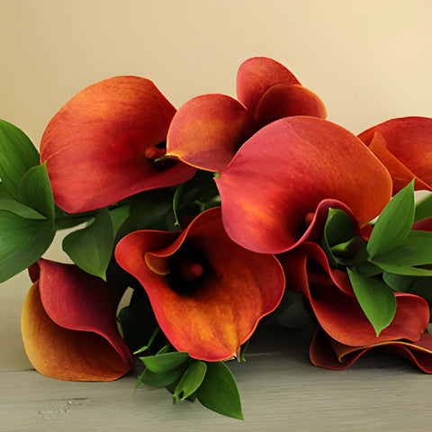 Mango Mini Calla Lily Centerpieces