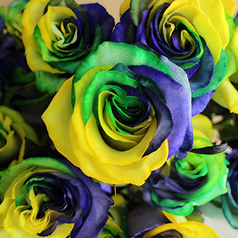 Mardi Gras Rainbow Tinted Roses