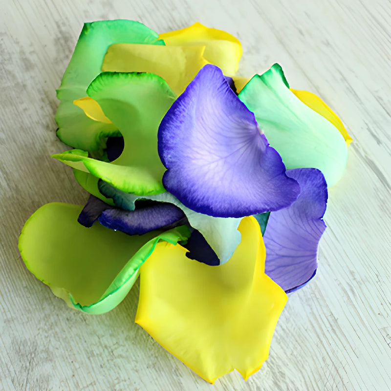 Mardi Gras Rainbow Tinted Roses