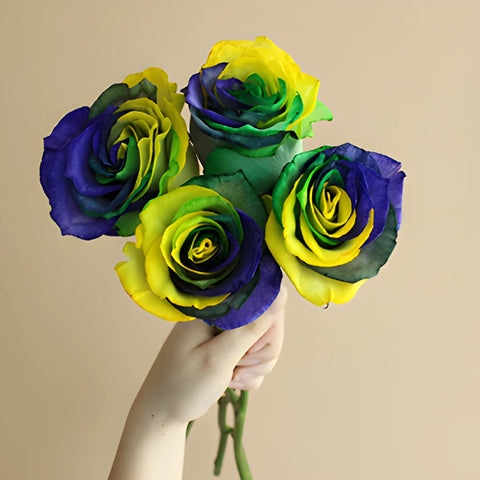 Mardi Gras Rainbow Tinted Roses