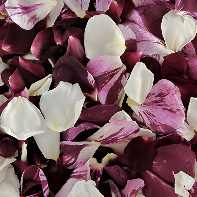 Maroon Dried Rose Petals