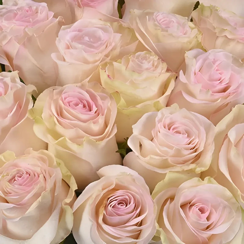 Marzipan Candy Roses Vase - Image