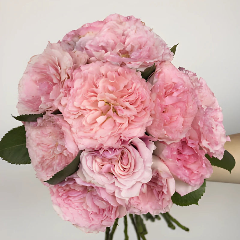 Pink Champagne Mayra Rose Bouquet