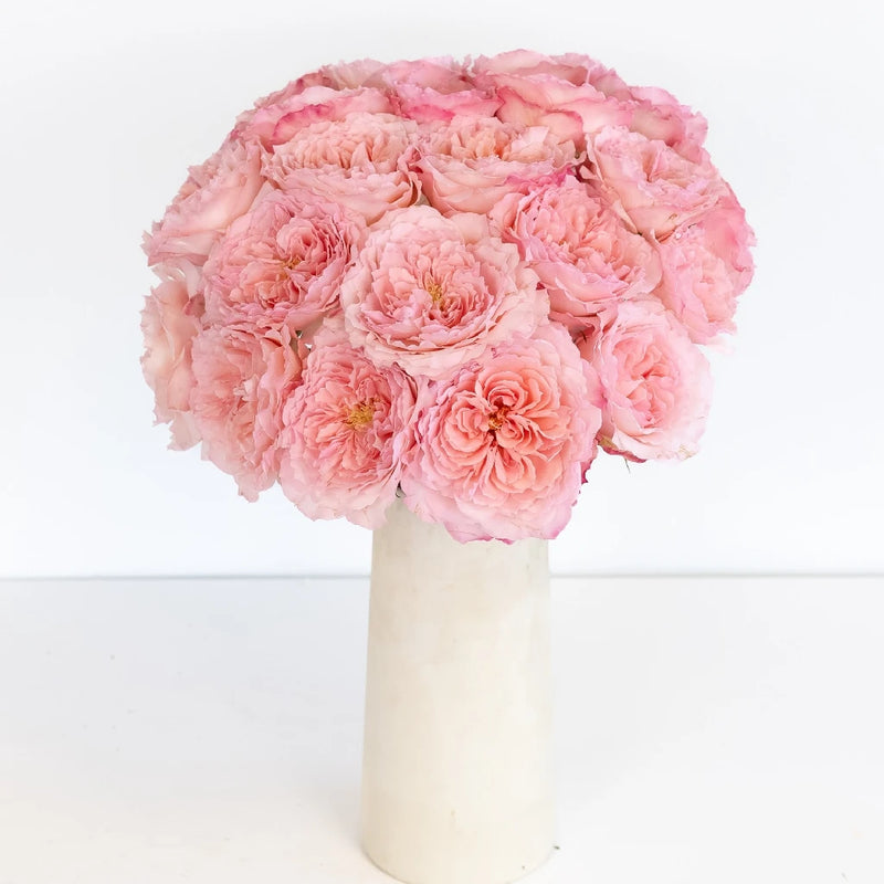 Mayra Pink Ruffles Garden Rose Vase - Image