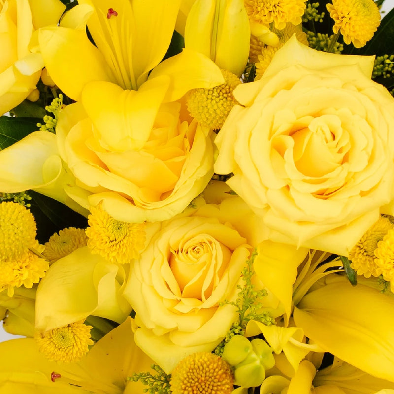 Mellow Yellow Flower Bouquet Bar Close Up - Image