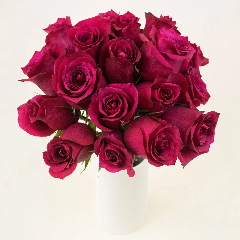 Merlot Red Valentines Roses in a Vase