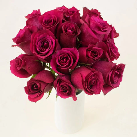 Merlot Red Valentines Roses in a Vase