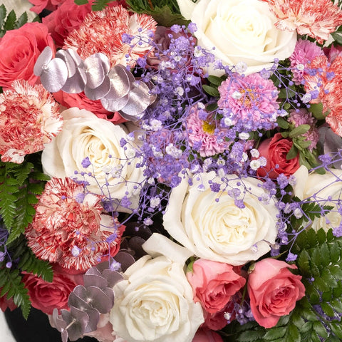 Merry Christmas Combo Pack Close Up - Image