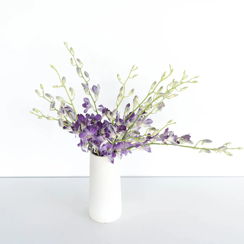 Midnight Purple Dendrobium Orchids Vase - Image