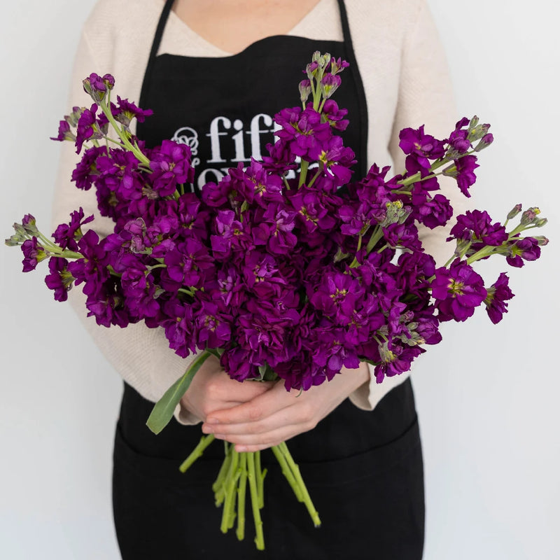 Midnight Purple Stock Flower Apron - Image