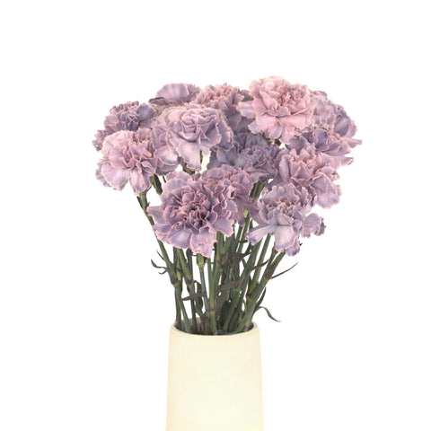 Midsummer Dream Purple Carnation Vase - Image