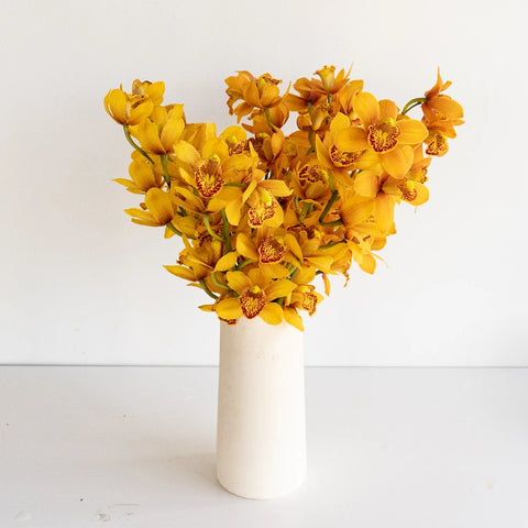 Mini Cymbidium Amber Orange Vase - Image