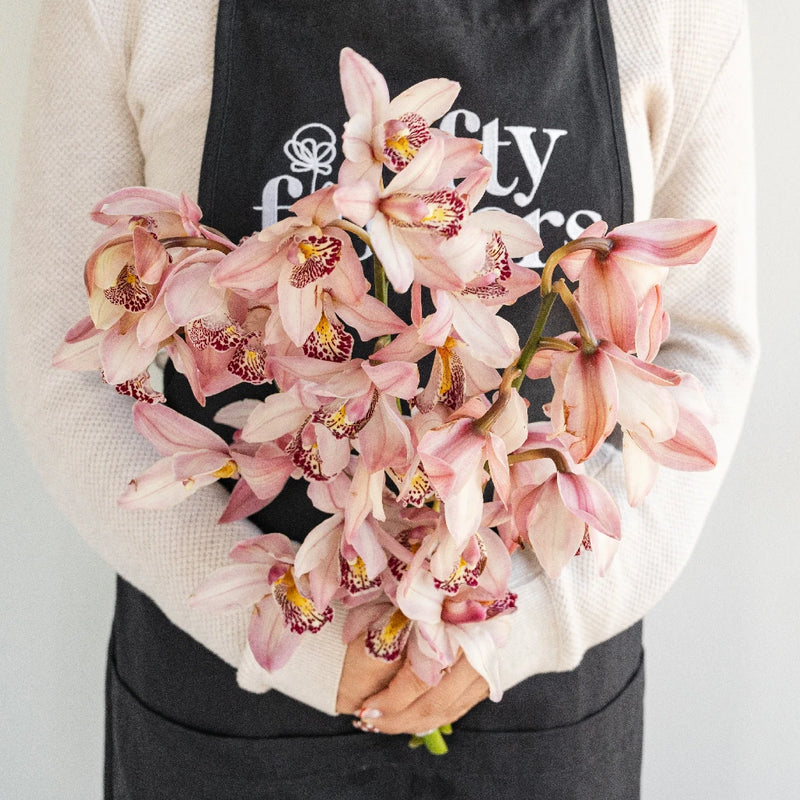 Mini Cymbidium Orchids Romantic Pink Apron - Image