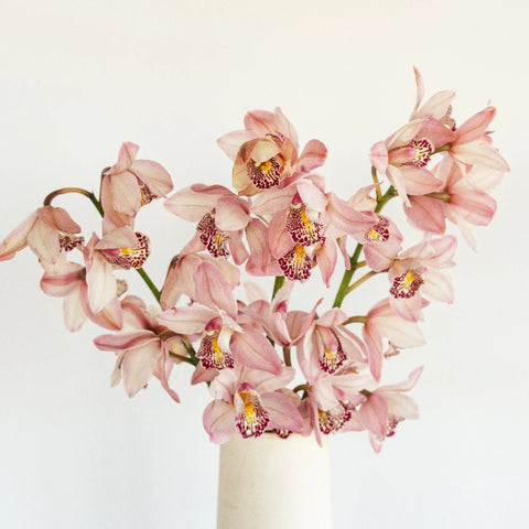 Mini Cymbidium Orchids Romantic Pink Vase - Image