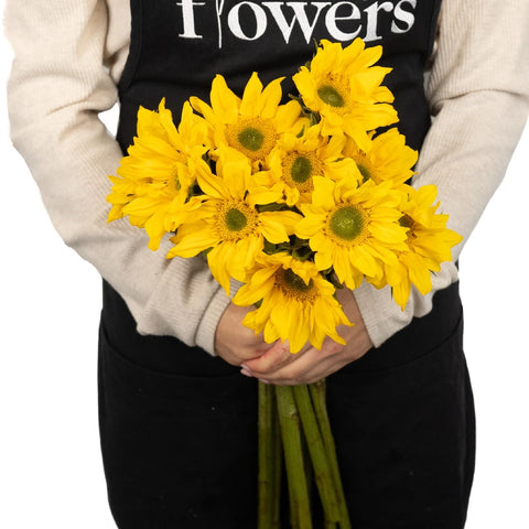 Mini Green Center Sunflowers Apron - Image