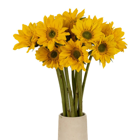 Mini Green Center Sunflowers Vase - Image