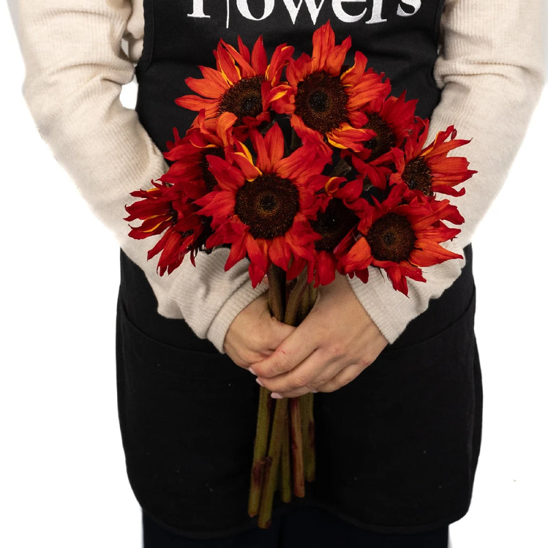 Mini Red Enhanced Sunflowers Apron - Image