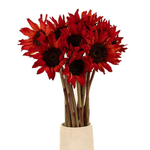 Mini Red Enhanced Sunflowers Vase - Image