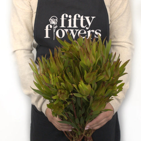 Mini Sandstorm Leucadendron Apron - Image