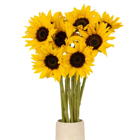 Mini Sunflowers Vase - Image