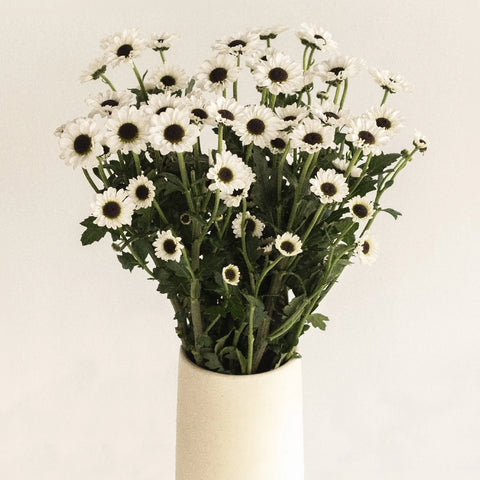 Mini Tuxedo Santini Vase - Image