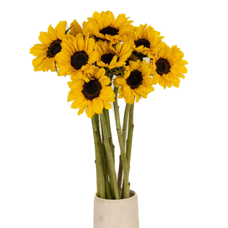 Mini Vincent Sunflowers Vase - Image