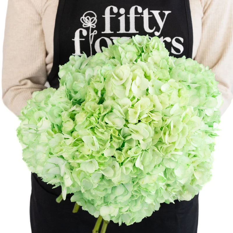 Mint Green Enhanced Hydrangea Apron - Image