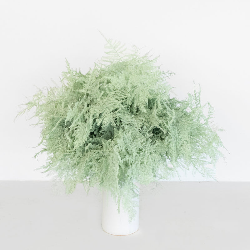 Mint Green Enhanced Plumosa Fern Greenery Vase - Image