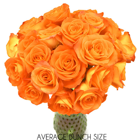 Mandarin Twist Sweetheart Roses