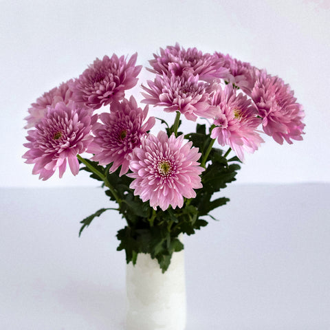 Misty Mauve Cremon Mum Flower Vase - Image