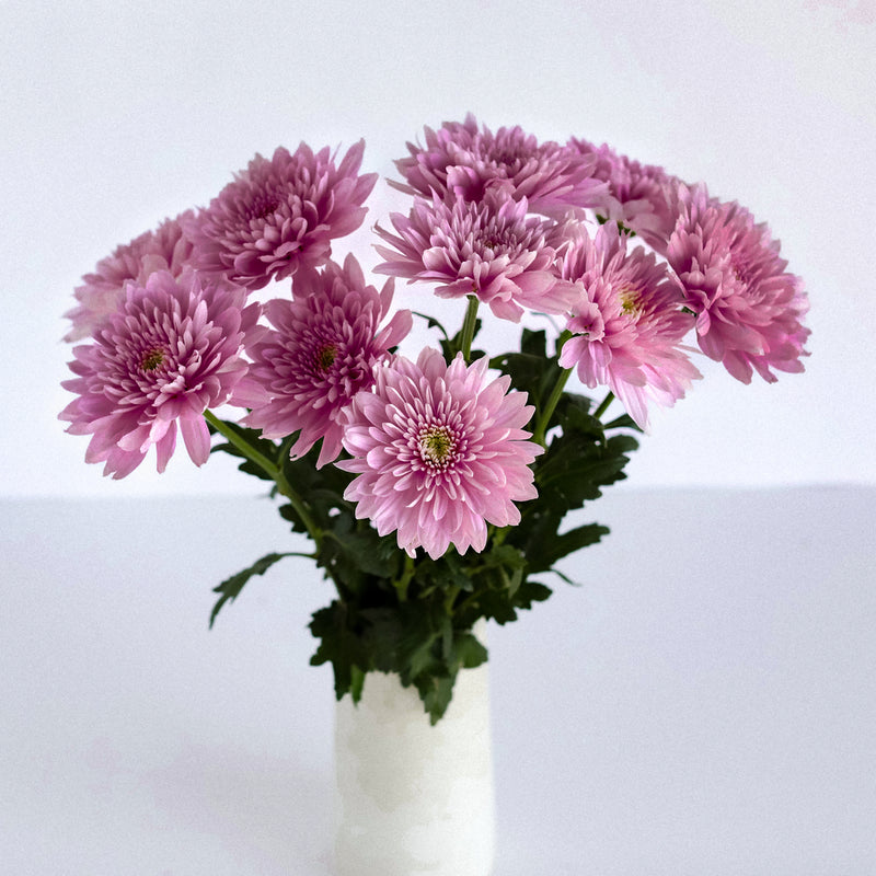 Misty Mauve Cremon Mum Flower Vase - Image