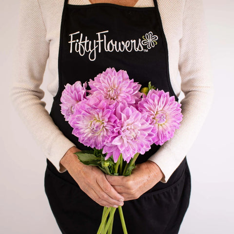 Misty Mountain Dinner Plate Dahlia Flower Bunch in Hand