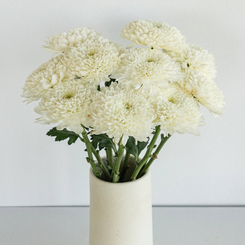 Misty White Bahlia Flower Vase - Image