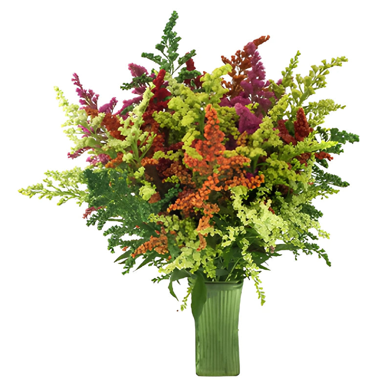 Mix of Tinted Estelle Solidago Filler Flowers