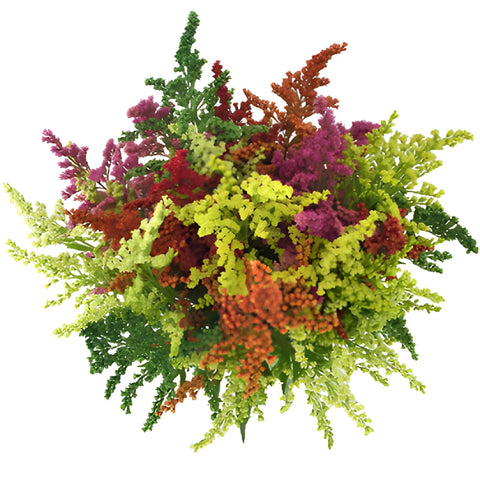 Mix of Tinted Estelle Solidago Filler Flowers