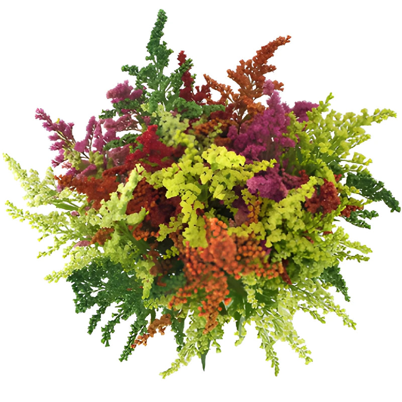 Mix of Tinted Estelle Solidago Filler Flowers