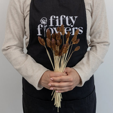 Mocha Dried Canary Grass Apron - Image