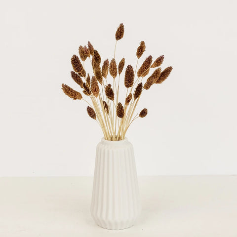 Mocha Dried Canary Grass Vase - Image