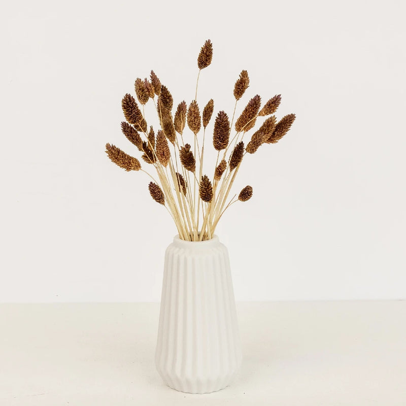 Mocha Dried Canary Grass Vase - Image