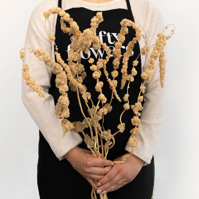 Mocha Hanging Dried Amaranthus Apron - Image