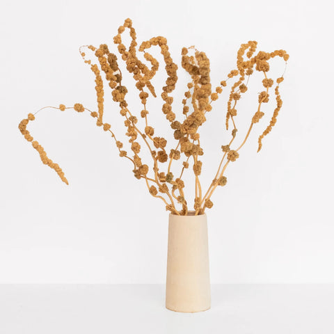 Mocha Hanging Dried Amaranthus Vase - Image