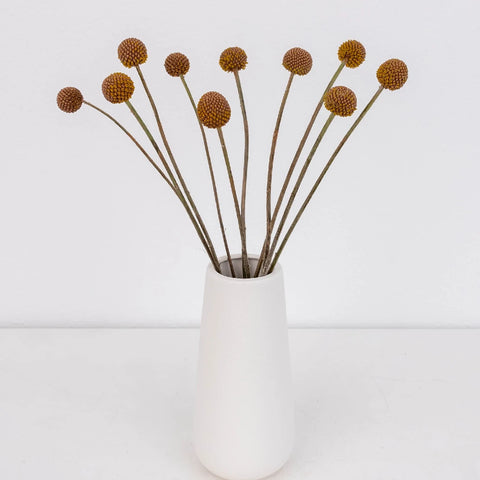 Mocha Mousse Craspedia Billy Ball Vase - Image