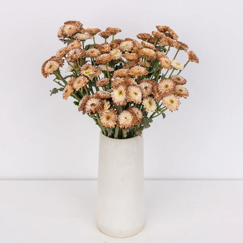 Mocha Mousse Enhanced Mini Button Flower - Image