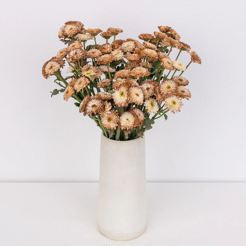 Mocha Mousse Enhanced Mini Button Flower - Image