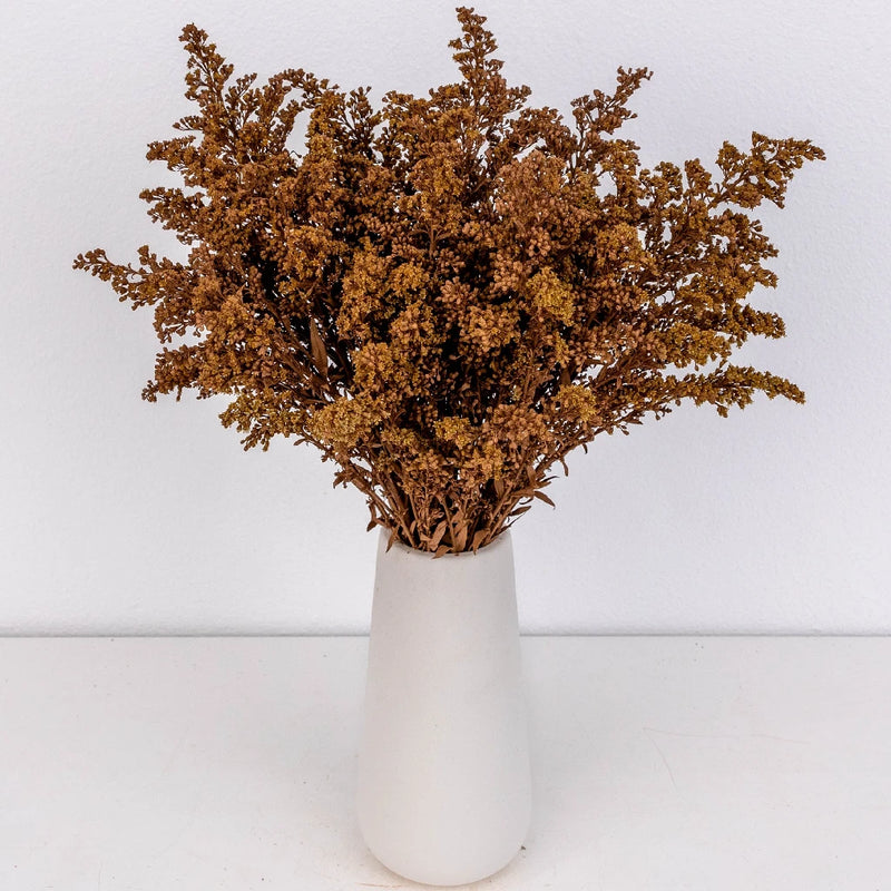 Mocha Mousse Enhanced Solidago Flowers Stem - Image