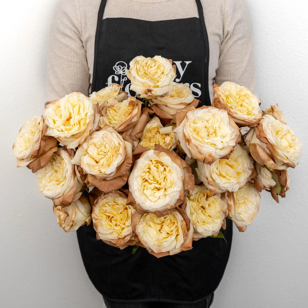 mocha-mousse-ivory-tinted-rose
